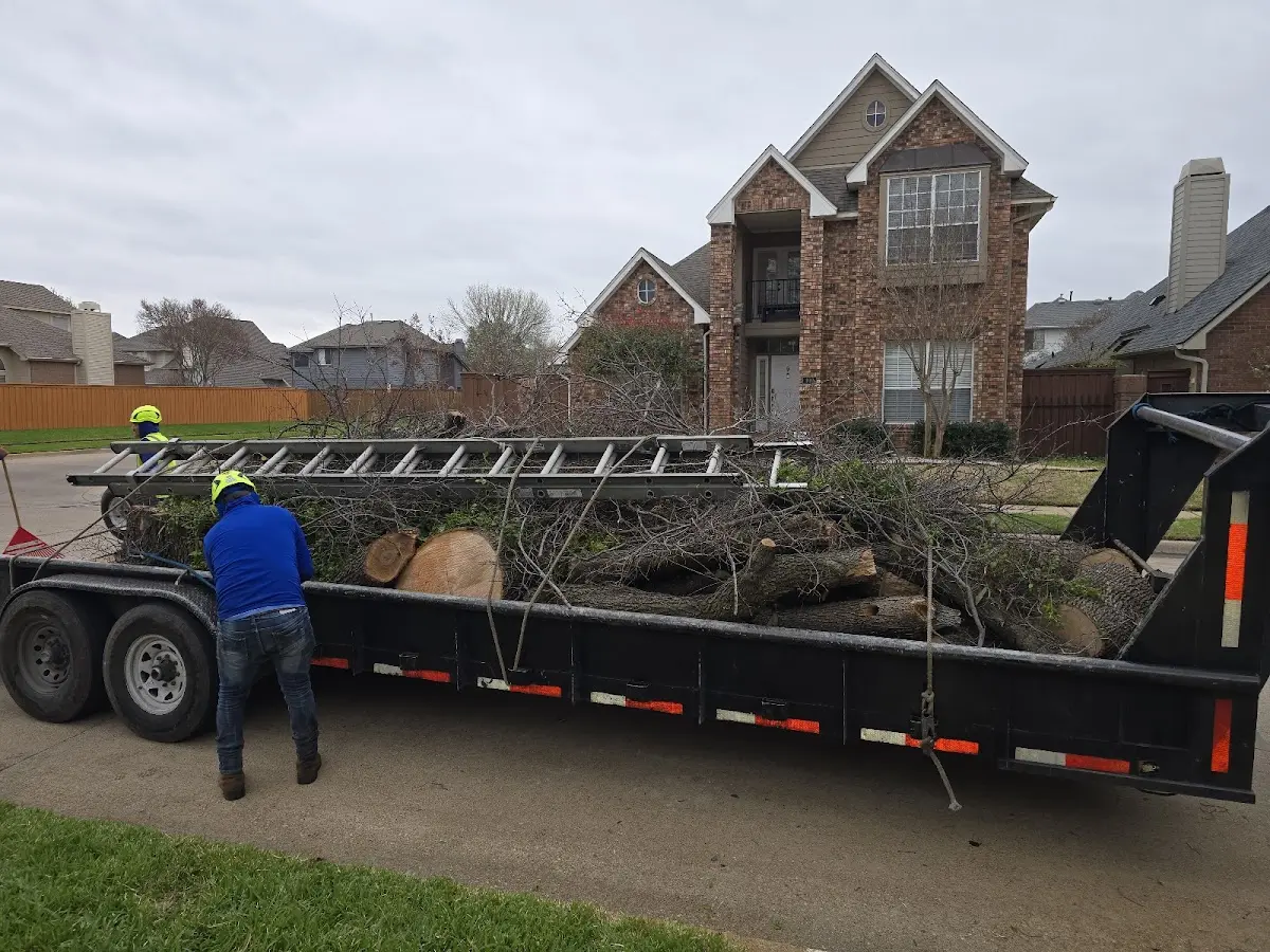 Expert Tree Removal with proper safety equipment in Moorestown